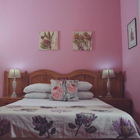 Homebase Melville Backpackers Johannesburg Buitenkant foto